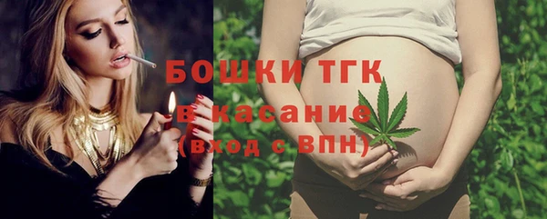 молекула духа Протвино