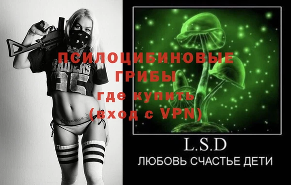 мдпв Пролетарск