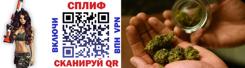 Бошки Шишки OG Kush Могоча